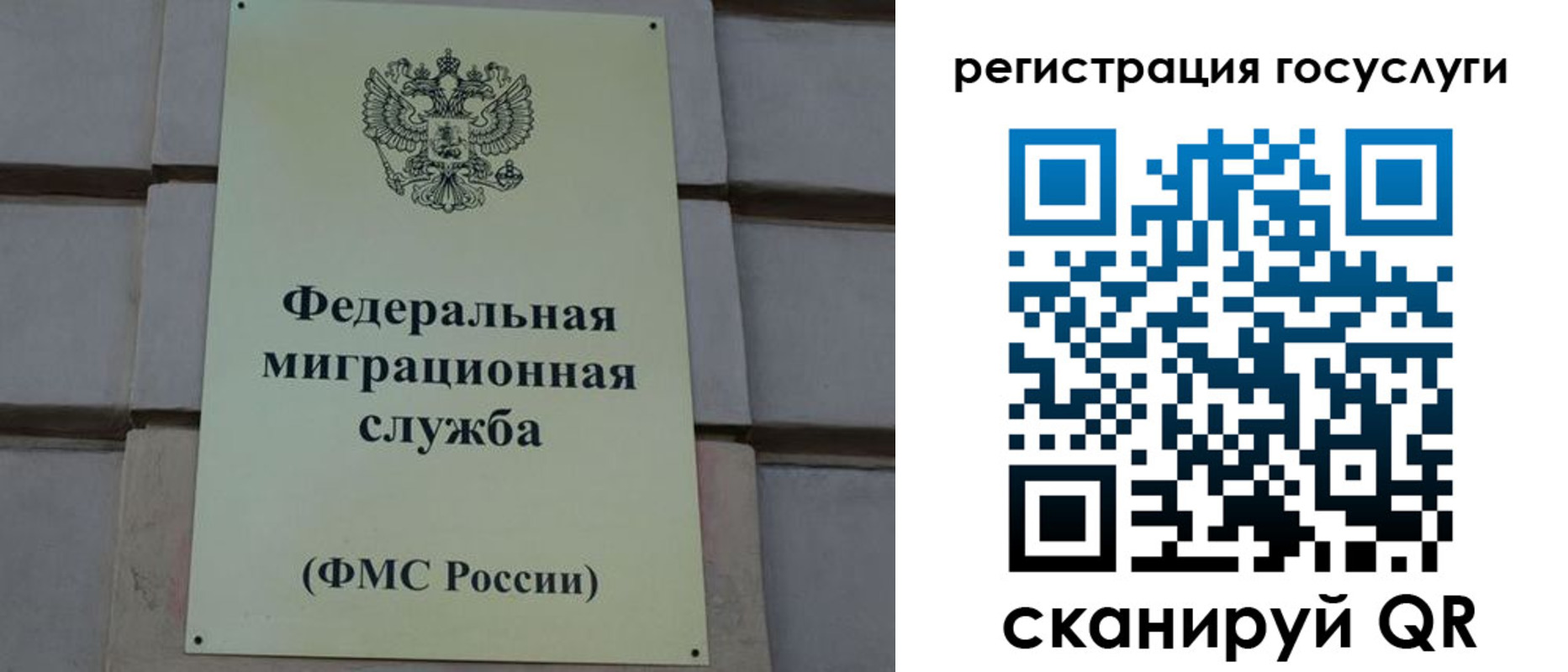 временная регистрация поиск в Щучье